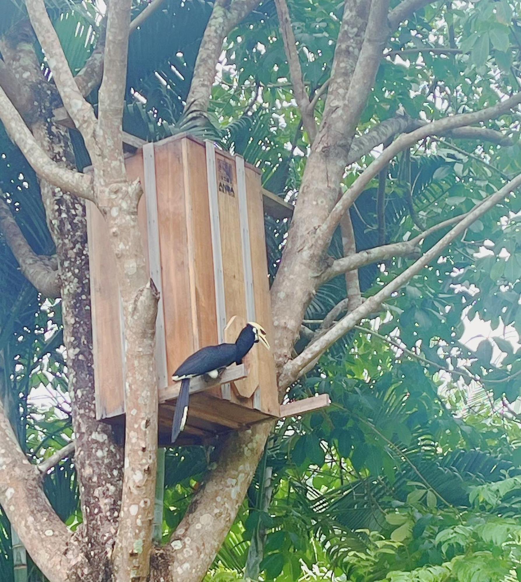 Najjamee Bungalows 코야오노이 외부 사진